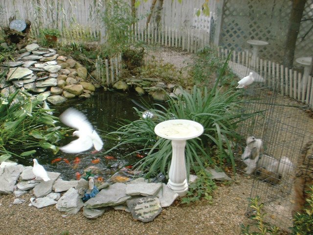 Virginia Residential homes, Luray, VA